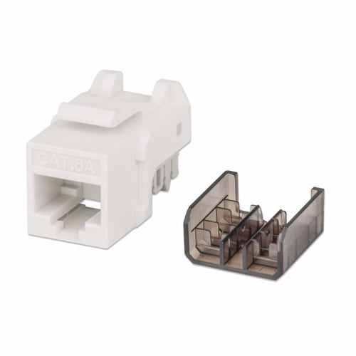Jack Keystone Intellinet Cat 6A, Blanco con Negro, 772358
