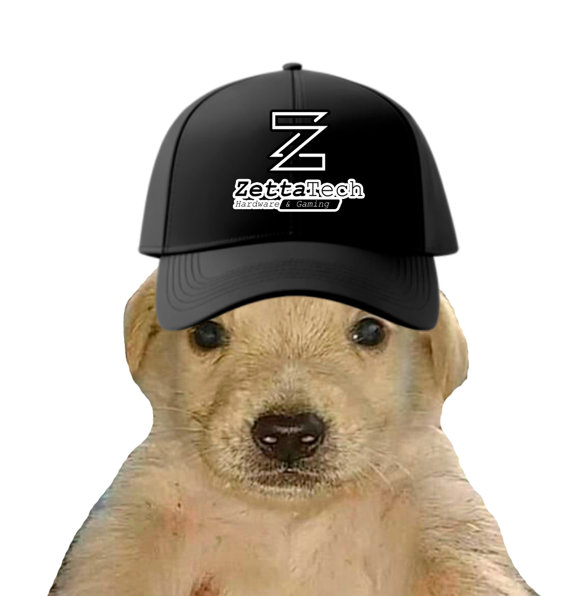 Perrito ZettaTech
